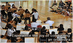 Experience the joy of conducting an orchestra.